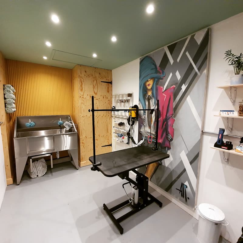 The grooming room at Mr Hughz Doggy Do's, with hydraulic table, stainless steel bath and a wall of leads and tools